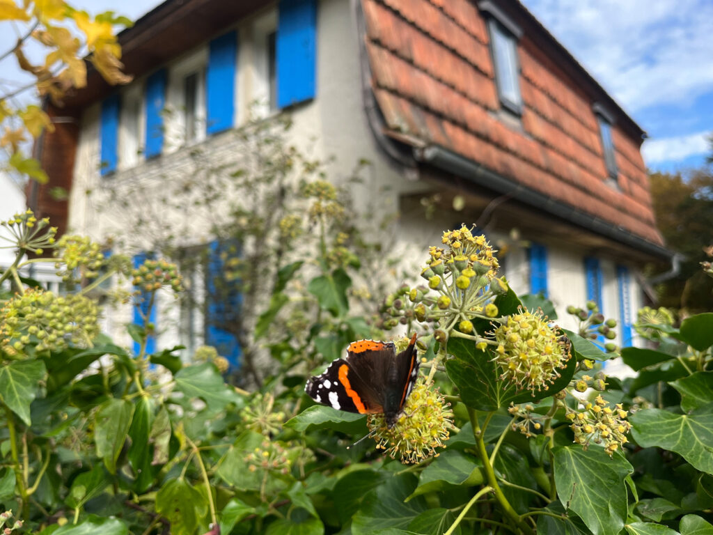 therapiehaus-triemli im herbst